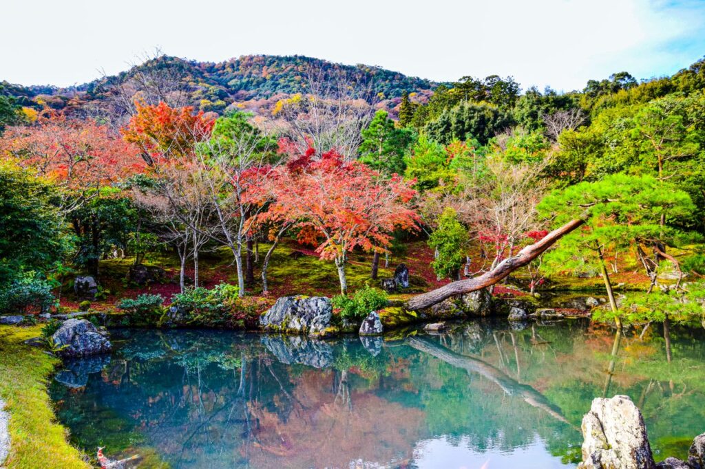 Tranquil Japanese garden scene with colorful autumn leaves reflecting in a peaceful pond.